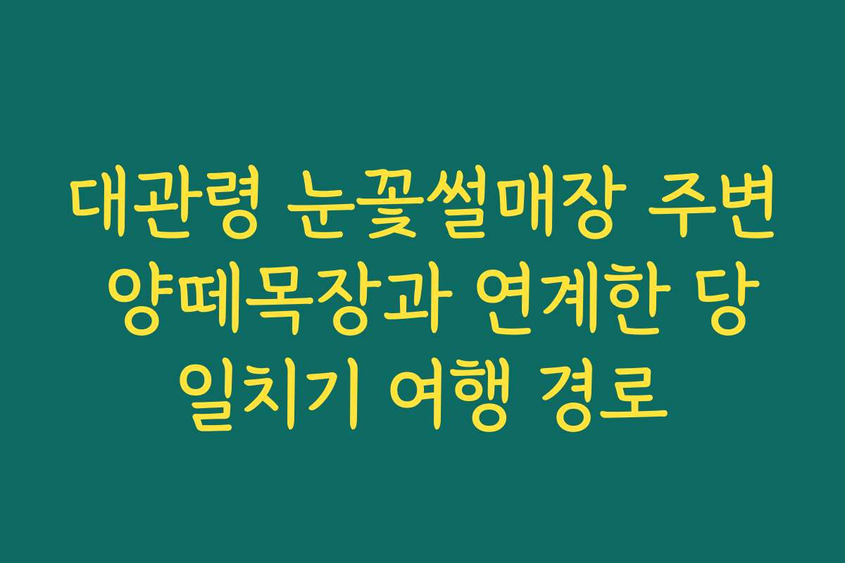 대관령 눈꽃썰매장 주변 양떼목장과 연계한 당일치기 여행 경로