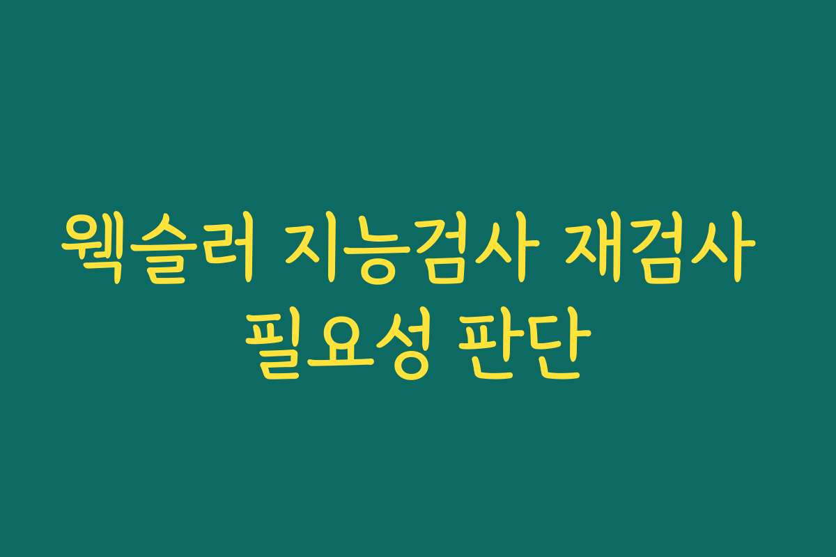 웩슬러 지능검사 재검사 필요성 판단
