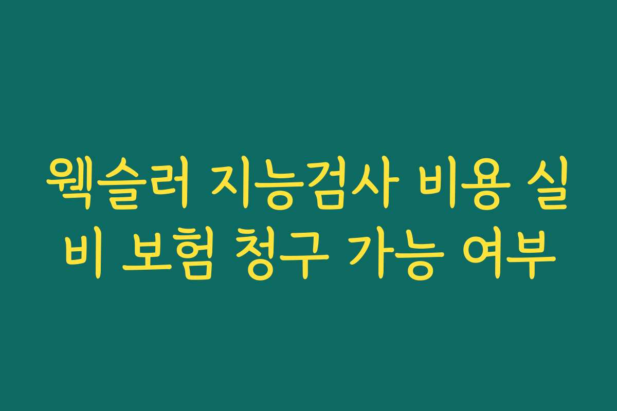웩슬러 지능검사 비용 실비 보험 청구 가능 여부
