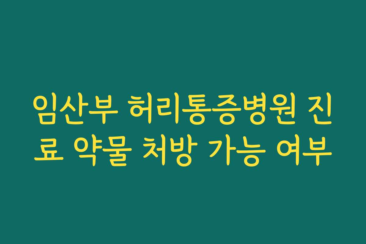 임산부 허리통증병원 진료 약물 처방 가능 여부