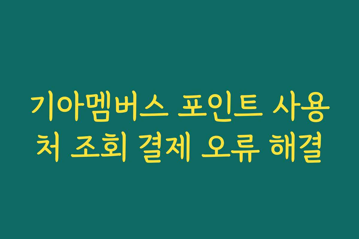 기아멤버스 포인트 사용처 조회 결제 오류 해결