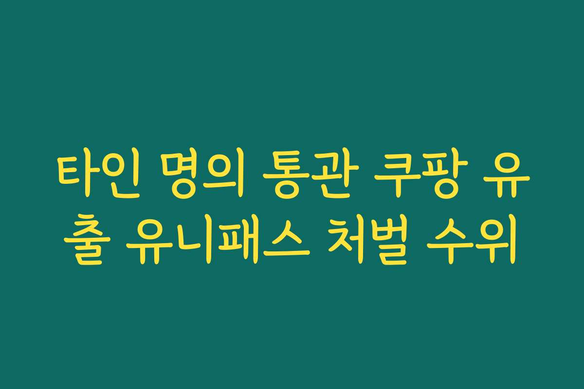 타인 명의 통관 쿠팡 유출 유니패스 처벌 수위