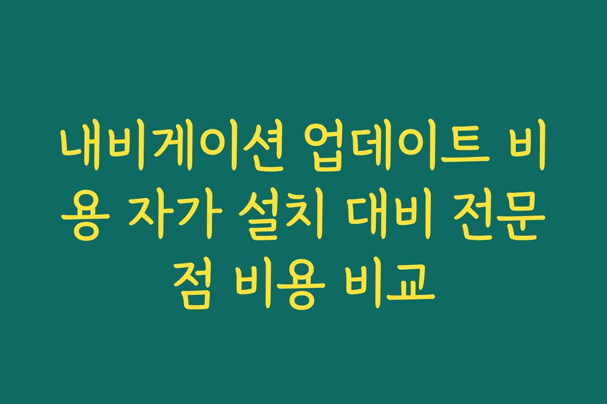 내비게이션 업데이트 비용 자가 설치 대비 전문점 비용 비교