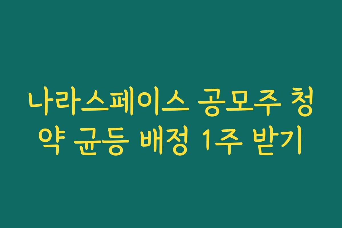나라스페이스 공모주 청약 균등 배정 1주 받기