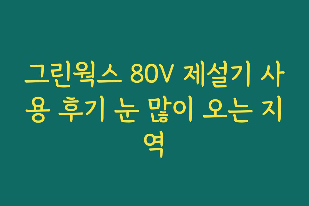 그린웍스 80V 제설기 사용 후기 눈 많이 오는 지역