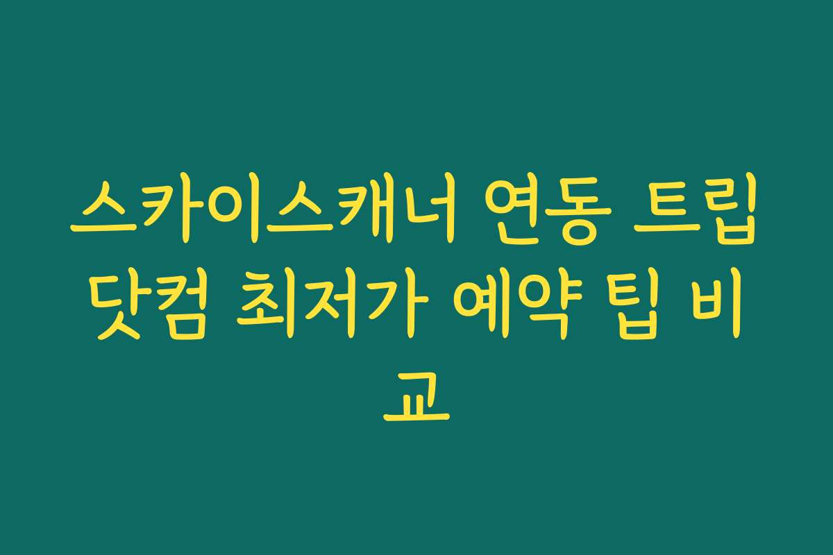 스카이스캐너 연동 트립닷컴 최저가 예약 팁 비교