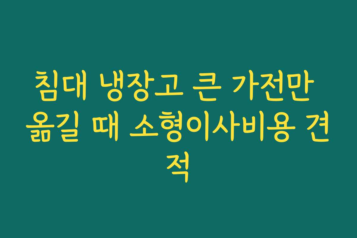 침대 냉장고 큰 가전만 옮길 때 소형이사비용 견적