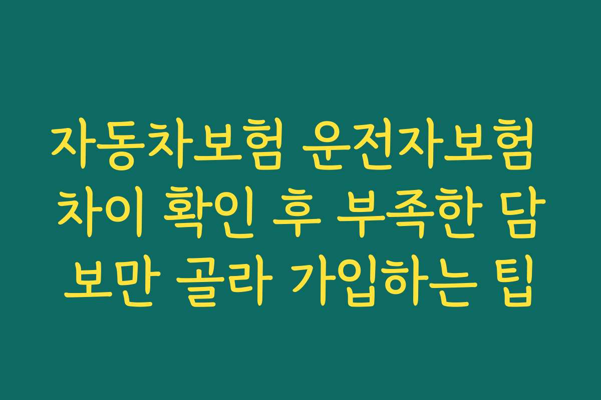 자동차보험 운전자보험 차이 확인 후 부족한 담보만 골라 가입하는 팁