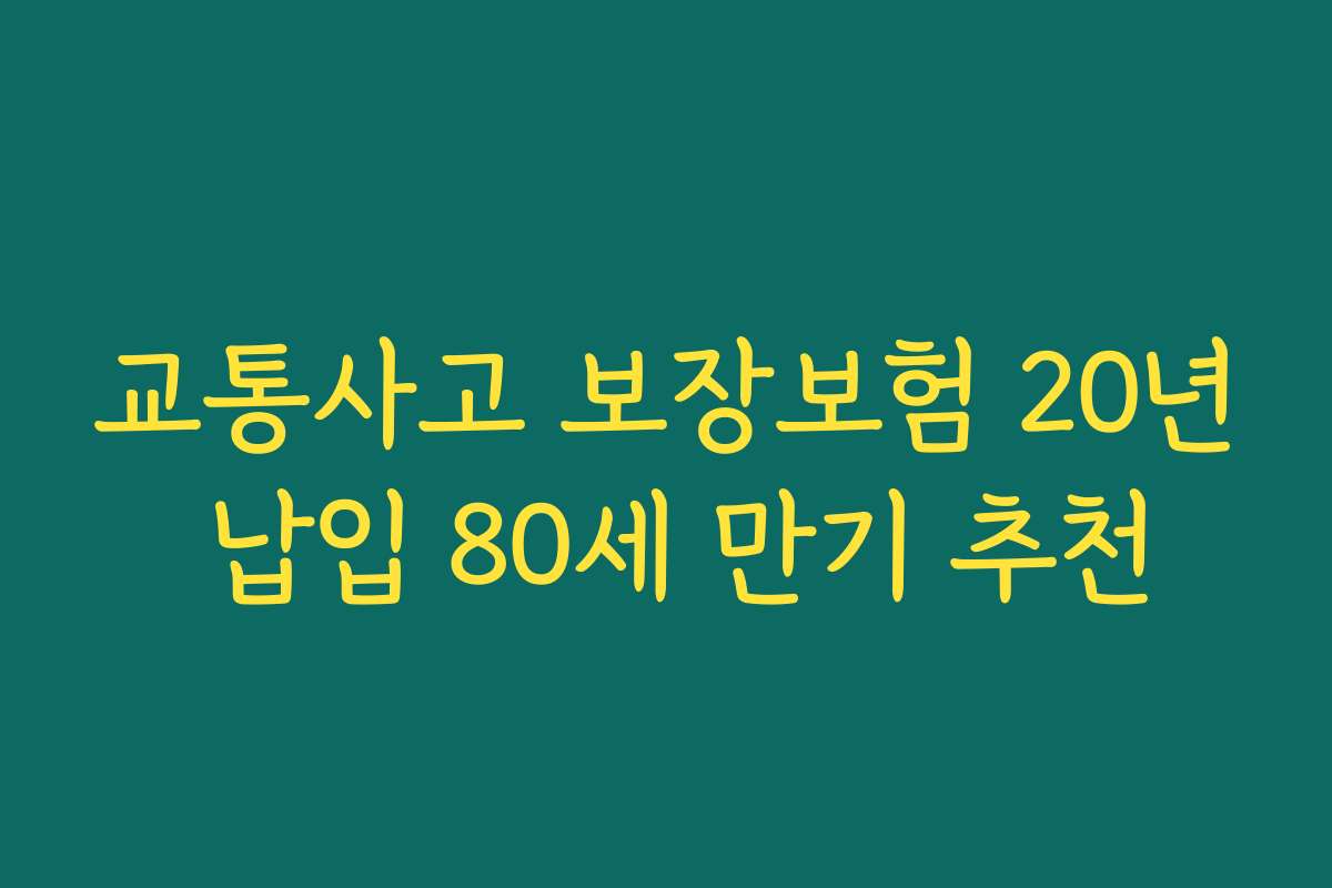 교통사고 보장보험 20년 납입 80세 만기 추천