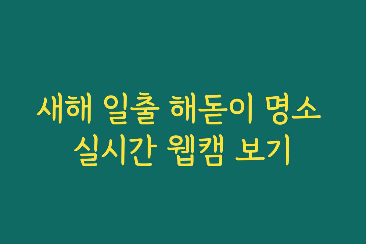 새해 일출 해돋이 명소 실시간 웹캠 보기