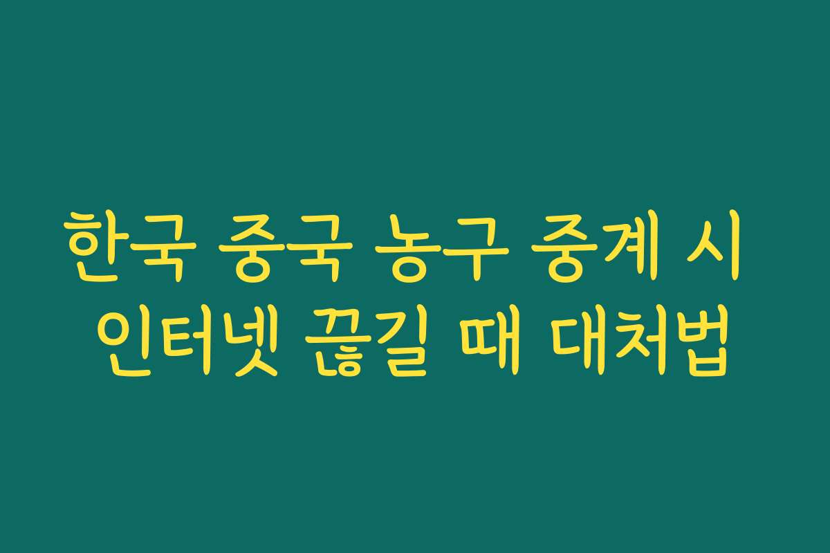 한국 중국 농구 중계 시 인터넷 끊길 때 대처법