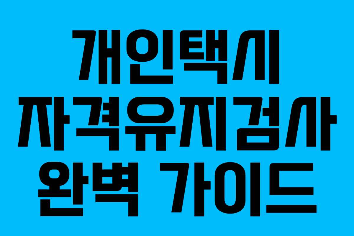 개인택시 자격유지검사 완벽 가이드