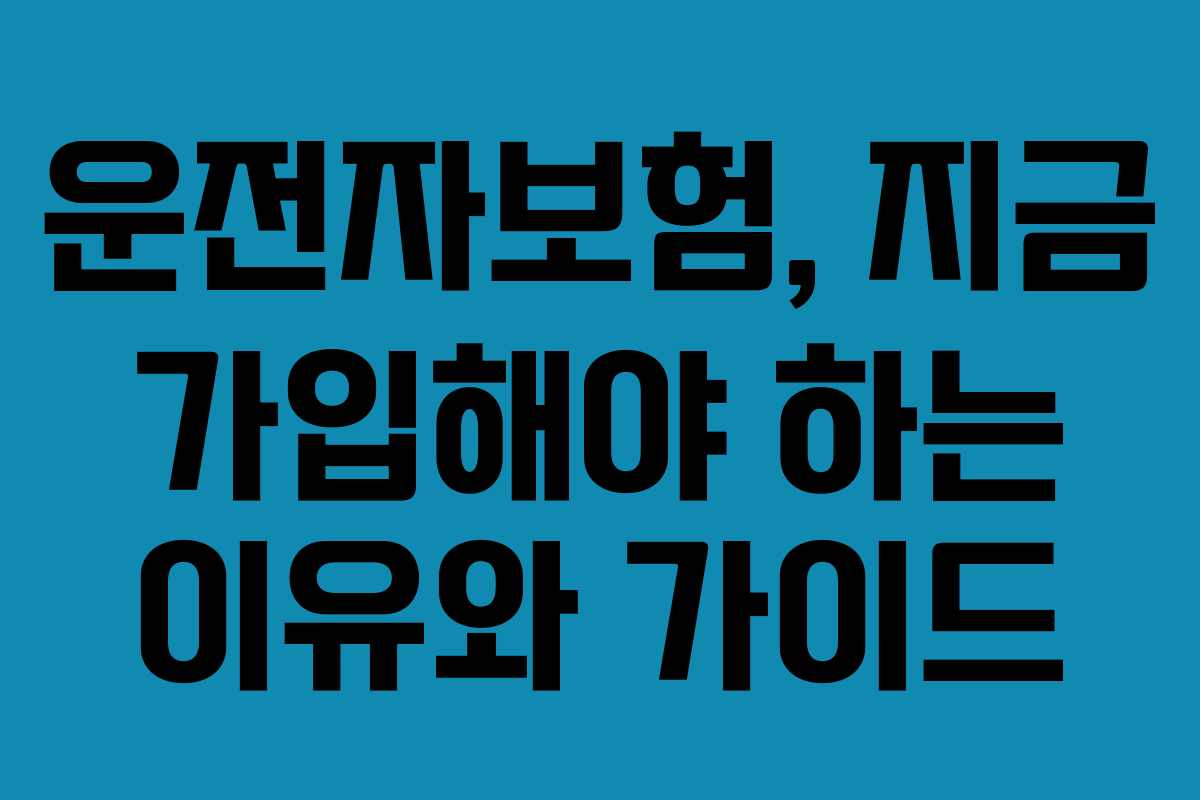 운전자보험, 지금 가입해야 하는 이유와 가이드