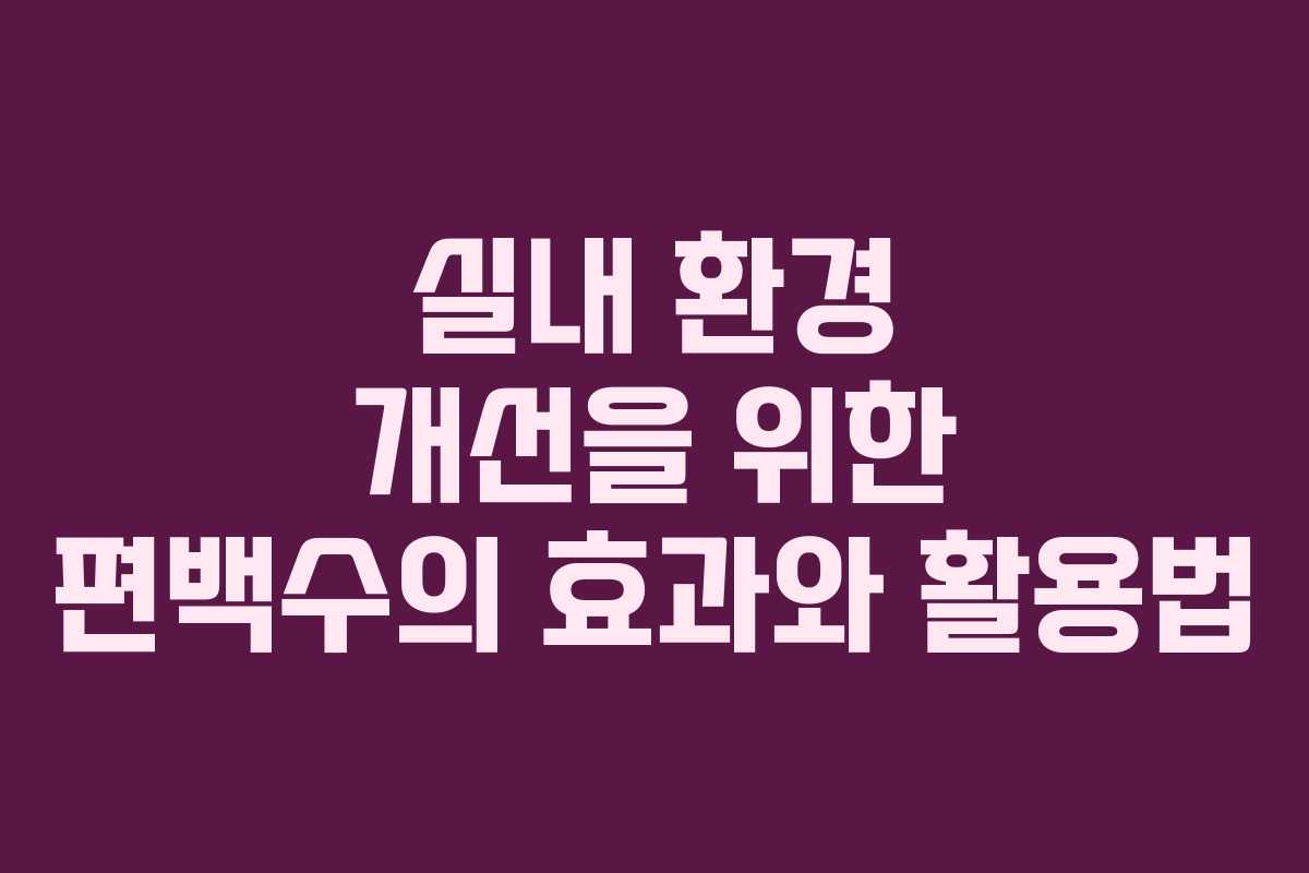 실내 환경 개선을 위한 편백수의 효과와 활용법