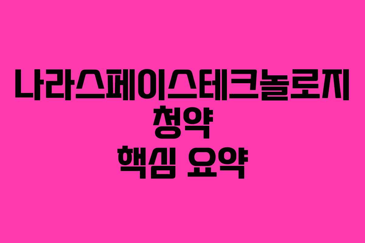 나라스페이스테크놀로지 청약 핵심 요약