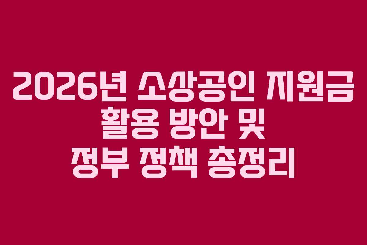 2026년 소상공인 지원금 활용 방안 및 정부 정책 총정리