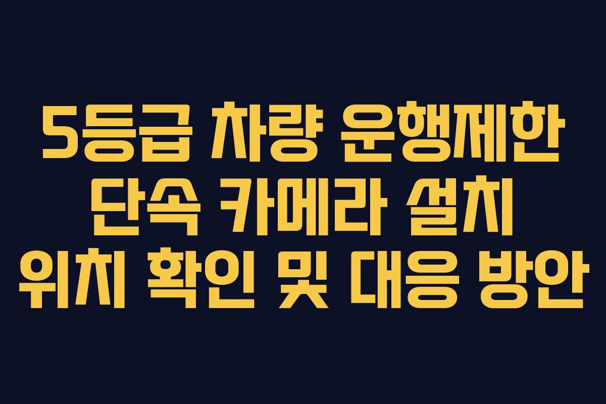 5등급 차량 운행제한 단속 카메라 설치 위치 확인 및 대응 방안