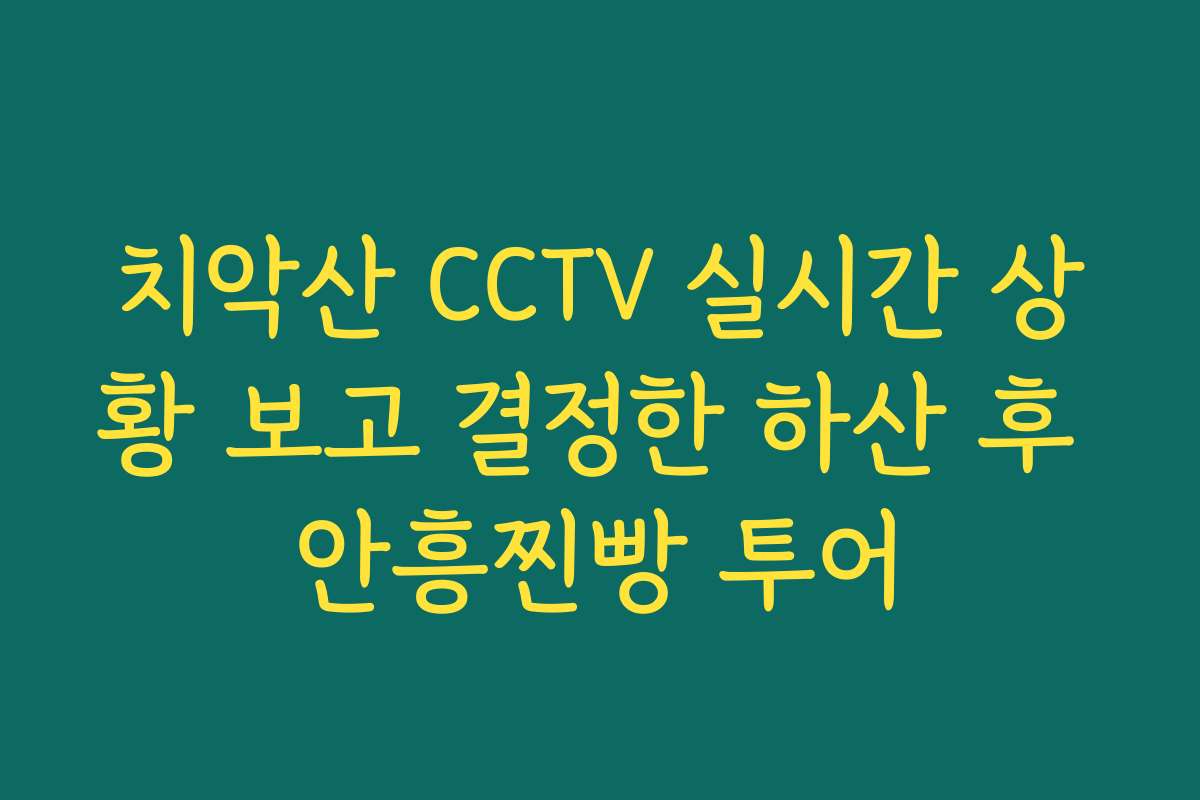 치악산 CCTV 실시간 상황 보고 결정한 하산 후 안흥찐빵 투어