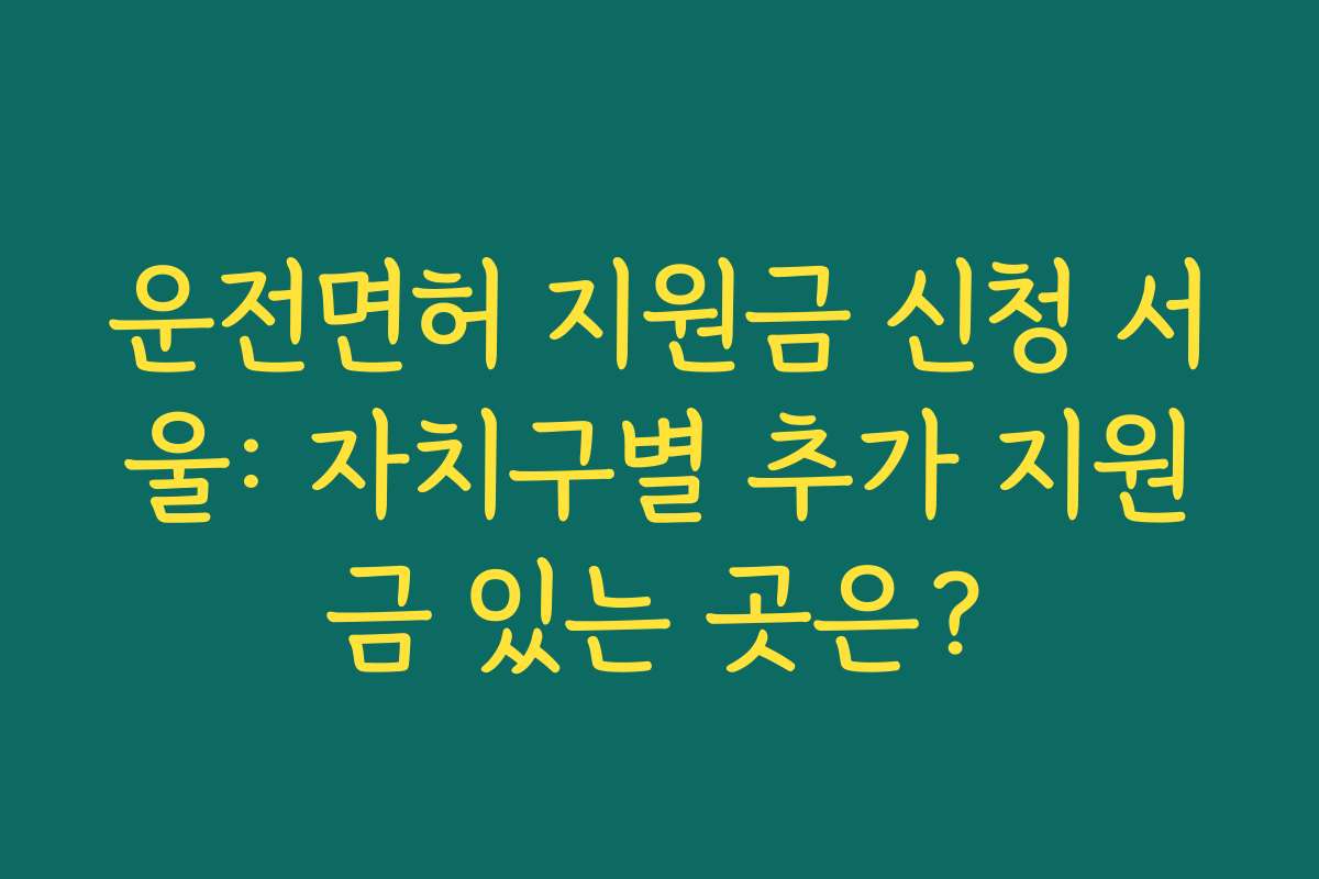 운전면허 지원금 신청 서울: 자치구별 추가 지원금 있는 곳은?