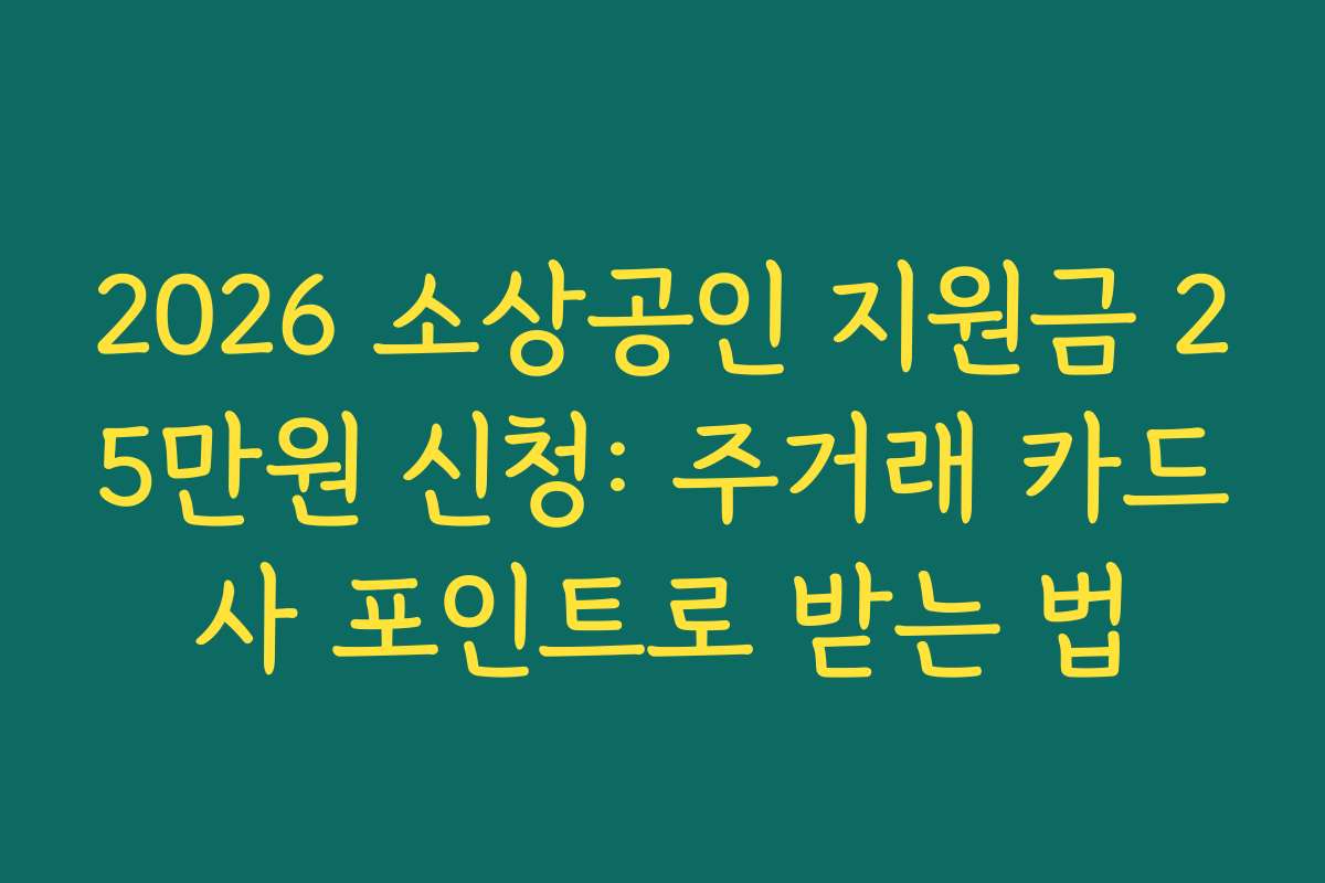 2026 소상공인 지원금 25만원 신청: 주거래 카드사 포인트로 받는 법