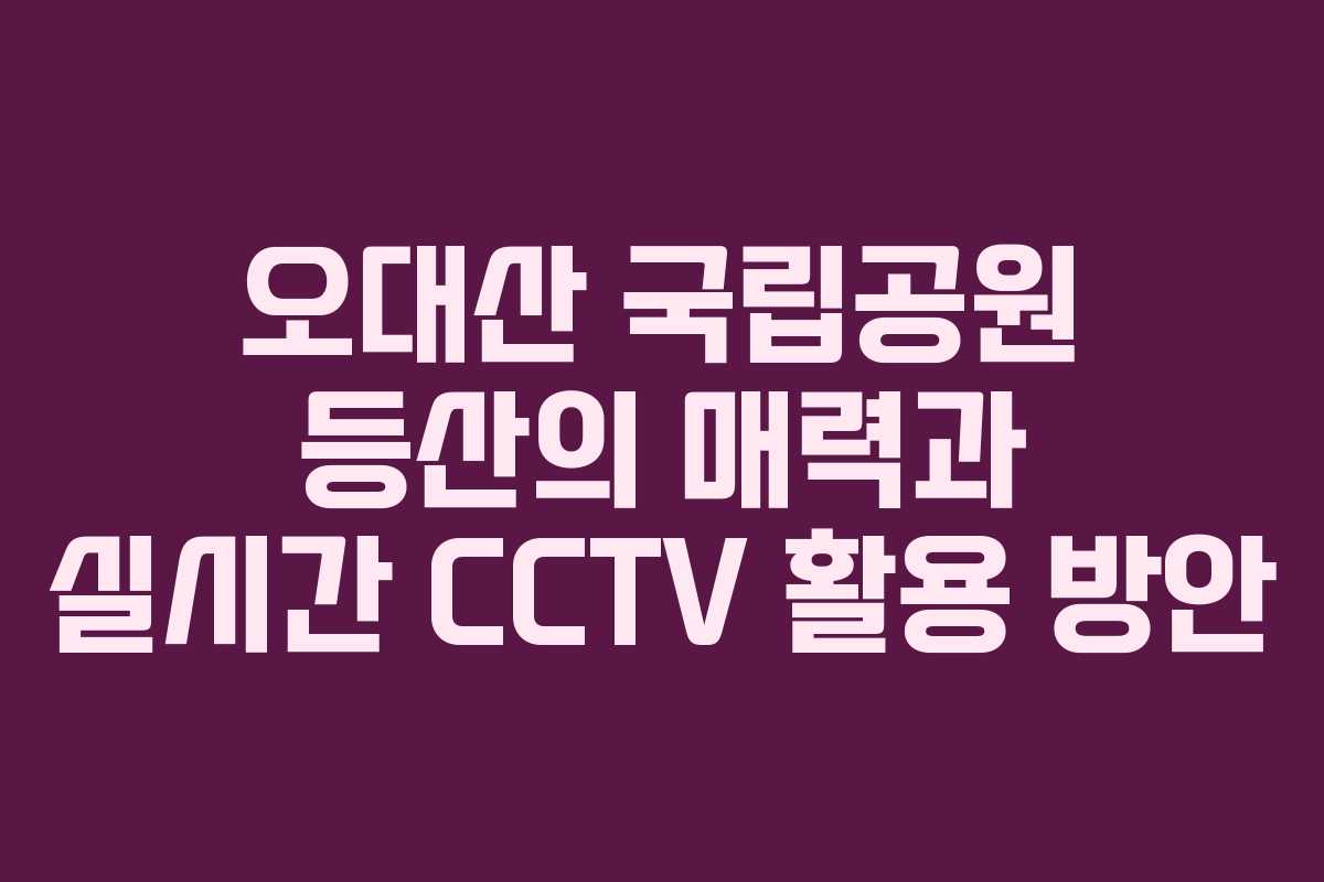 오대산 국립공원 등산의 매력과 실시간 CCTV 활용 방안