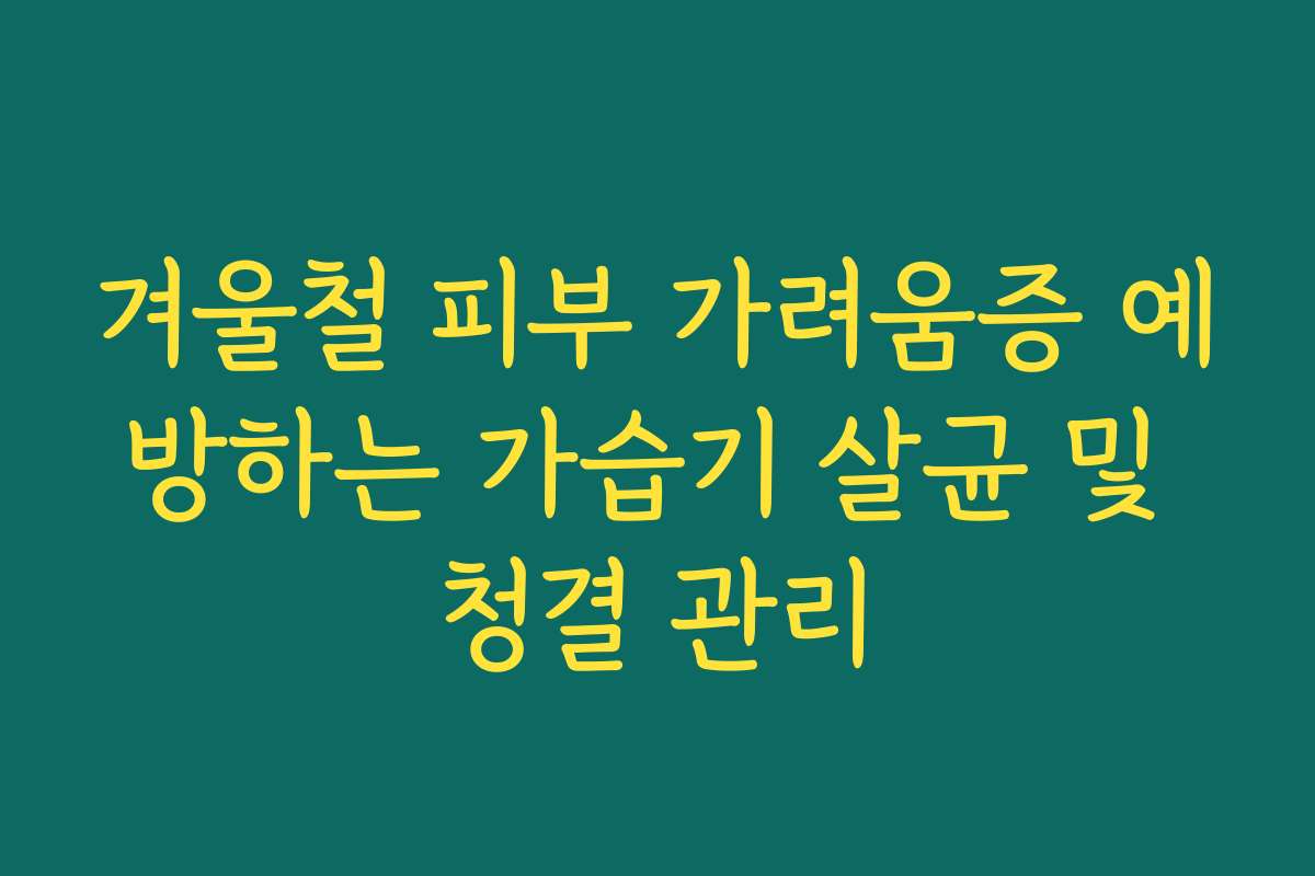 겨울철 피부 가려움증 예방하는 가습기 살균 및 청결 관리