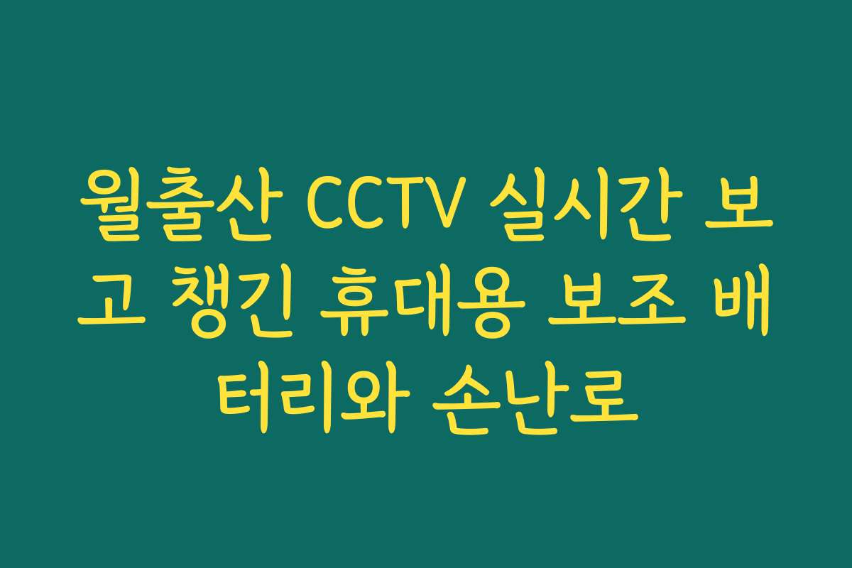 월출산 CCTV 실시간 보고 챙긴 휴대용 보조 배터리와 손난로