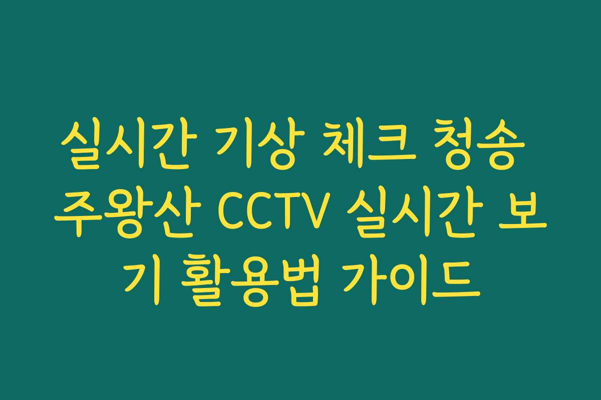 실시간 기상 체크 청송 주왕산 CCTV 실시간 보기 활용법 가이드