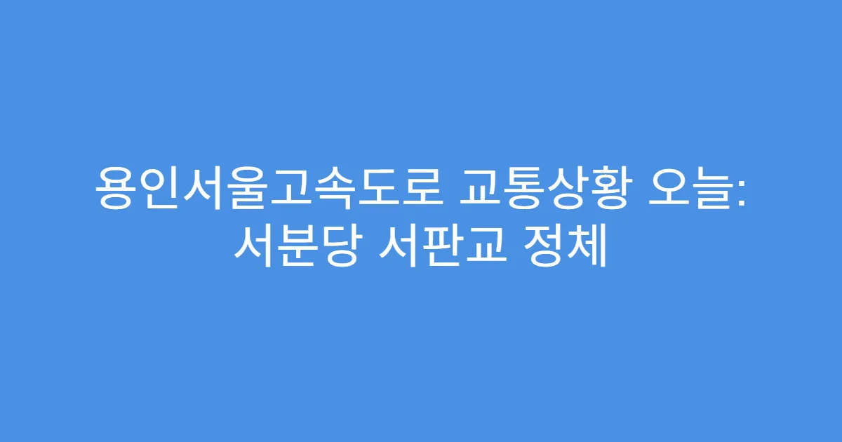 용인서울고속도로 교통상황 오늘: 서분당 서판교 정체