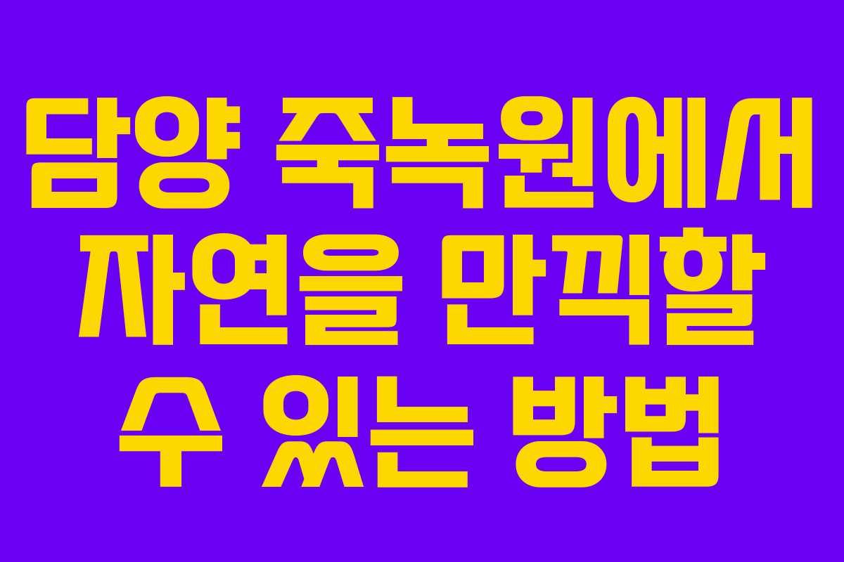 담양 죽녹원에서 자연을 만끽할 수 있는 방법