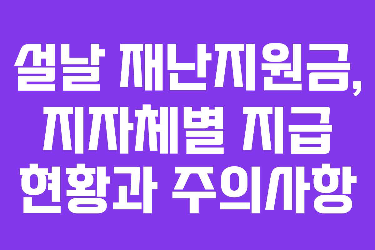 설날 재난지원금, 지자체별 지급 현황과 주의사항