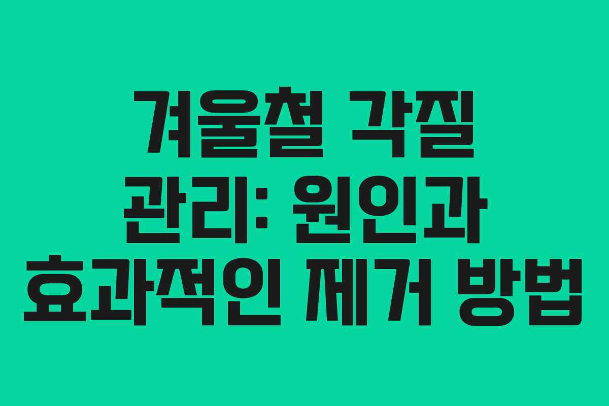 겨울철 각질 관리: 원인과 효과적인 제거 방법
