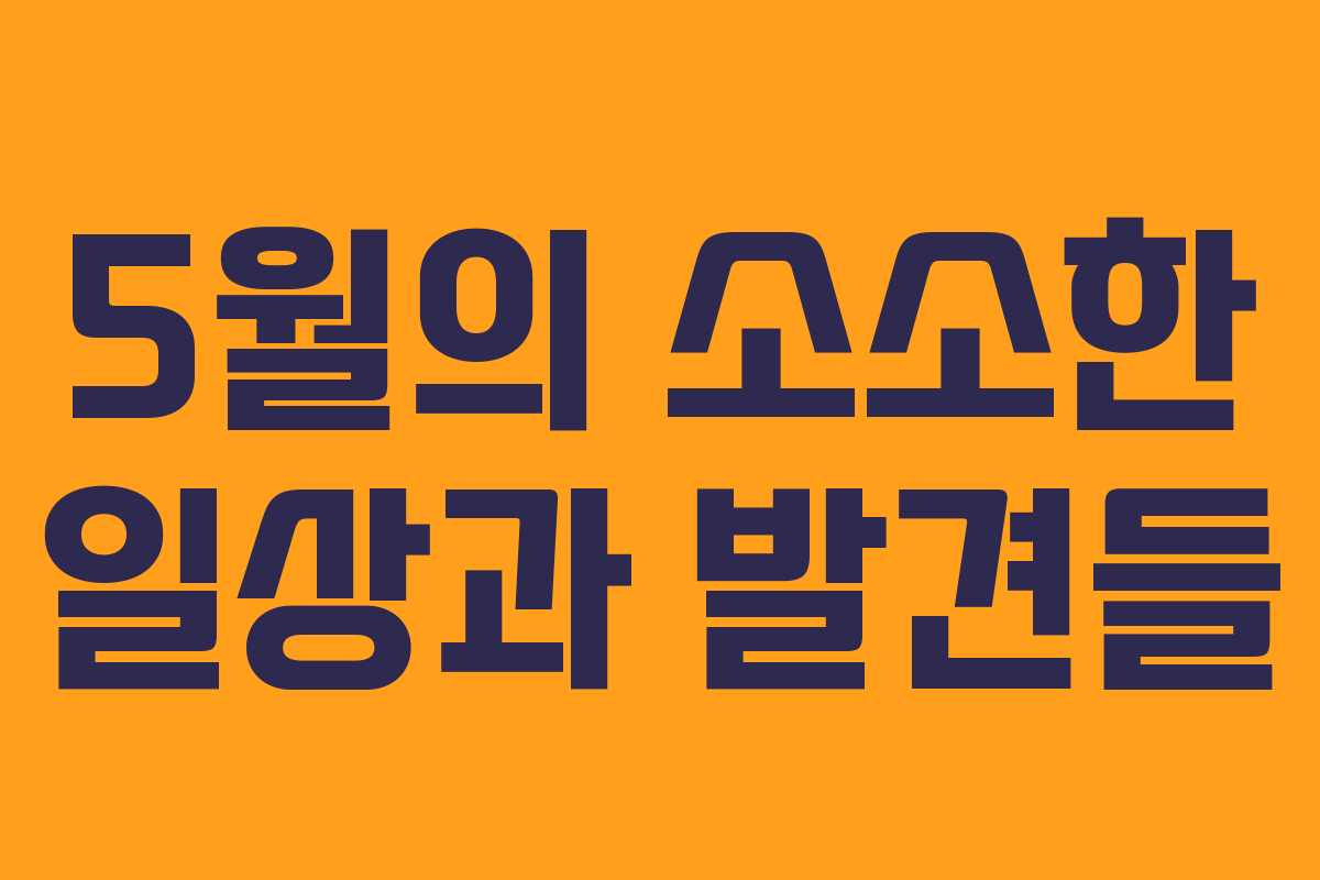 5월의 소소한 일상과 발견들