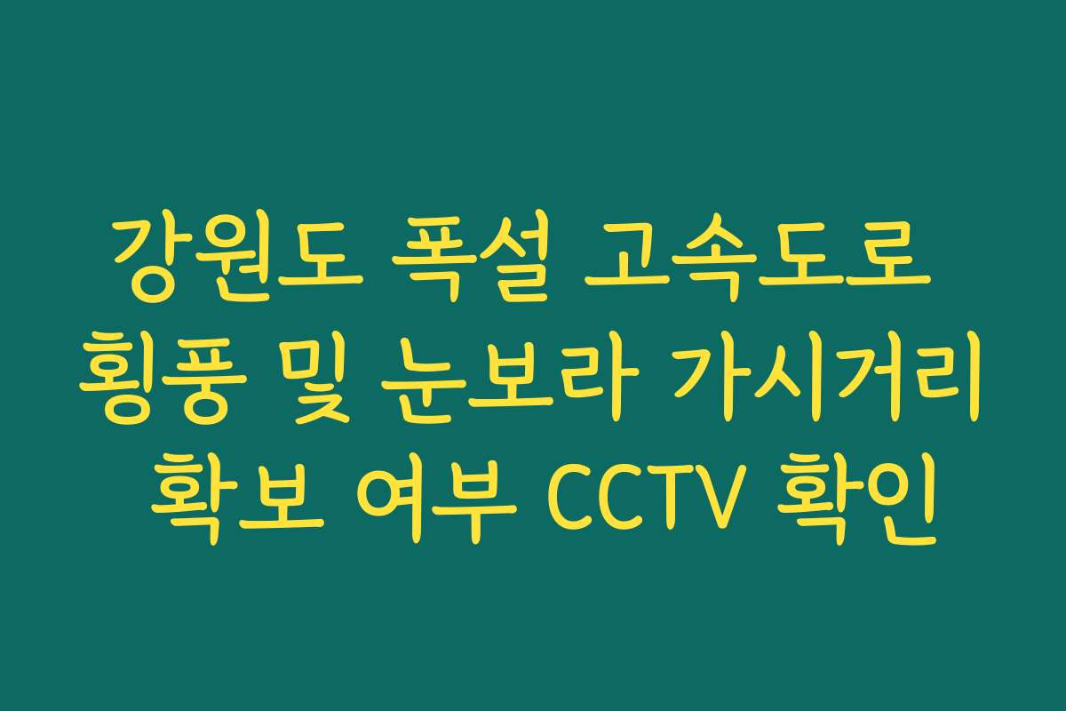 강원도 폭설 고속도로 횡풍 및 눈보라 가시거리 확보 여부 CCTV 확인