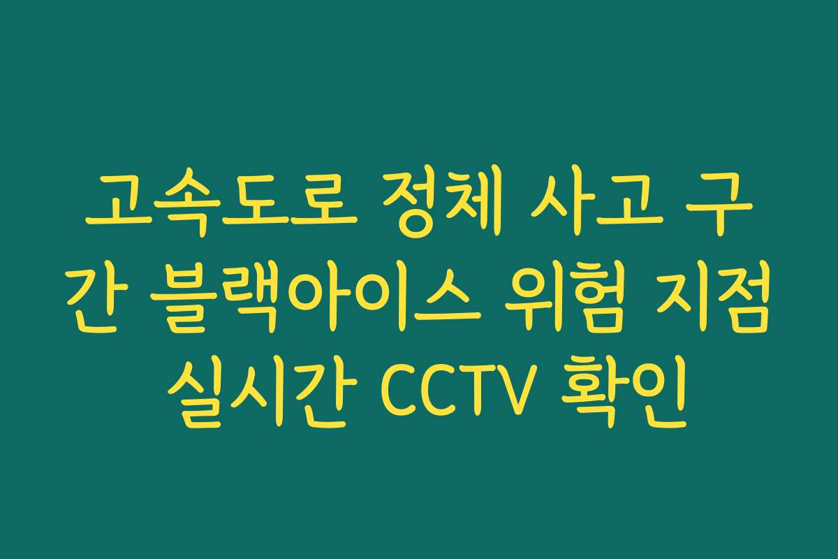 고속도로 정체 사고 구간 블랙아이스 위험 지점 실시간 CCTV 확인