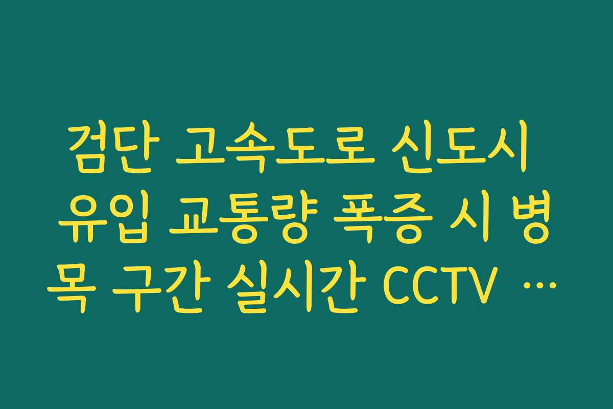 검단 고속도로 신도시 유입 교통량 폭증 시 병목 구간 실시간 CCTV 확인