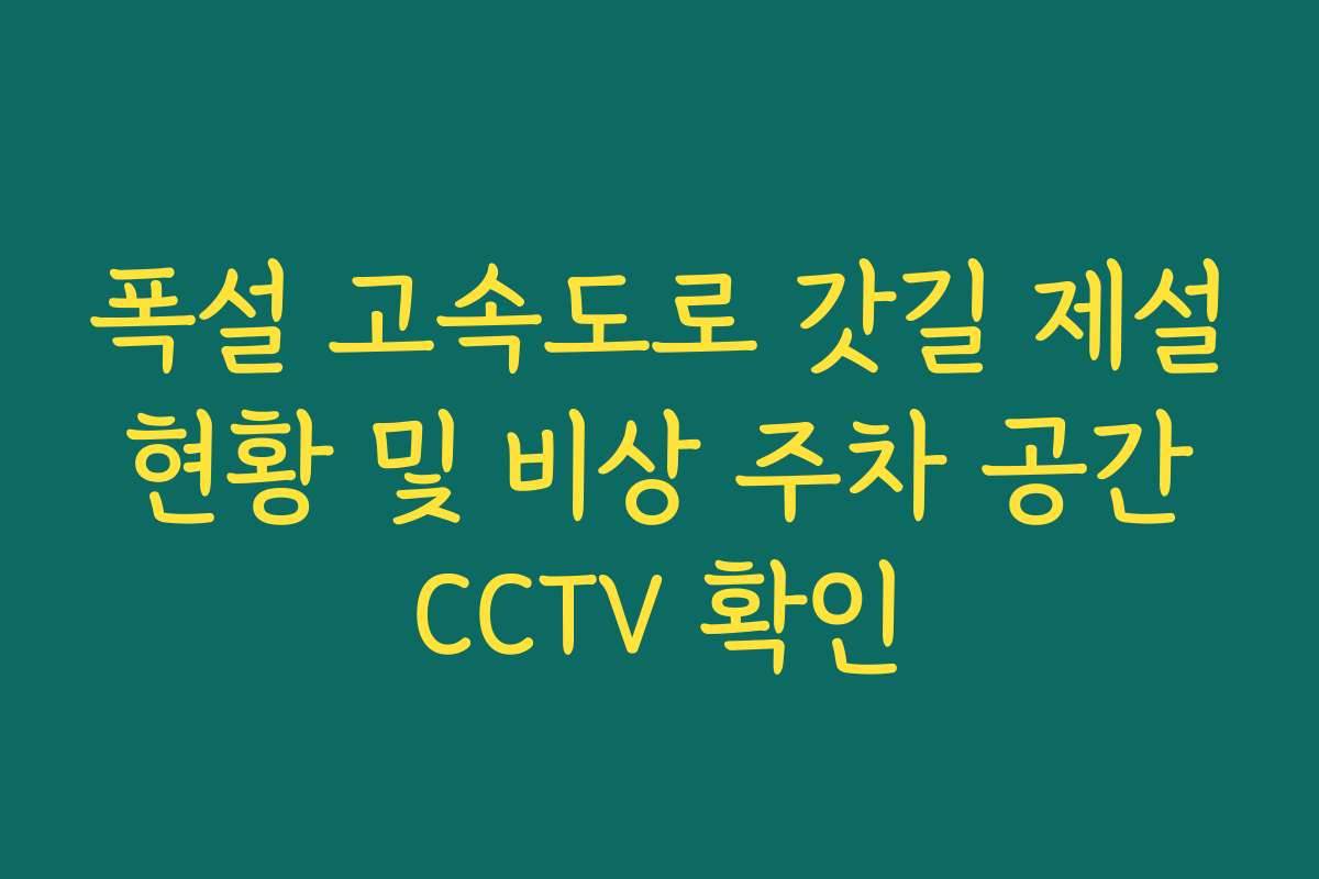 폭설 고속도로 갓길 제설 현황 및 비상 주차 공간 CCTV 확인