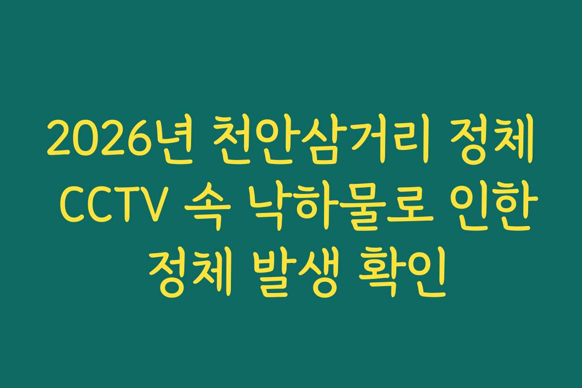 2026년 천안삼거리 정체 CCTV 속 낙하물로 인한 정체 발생 확인