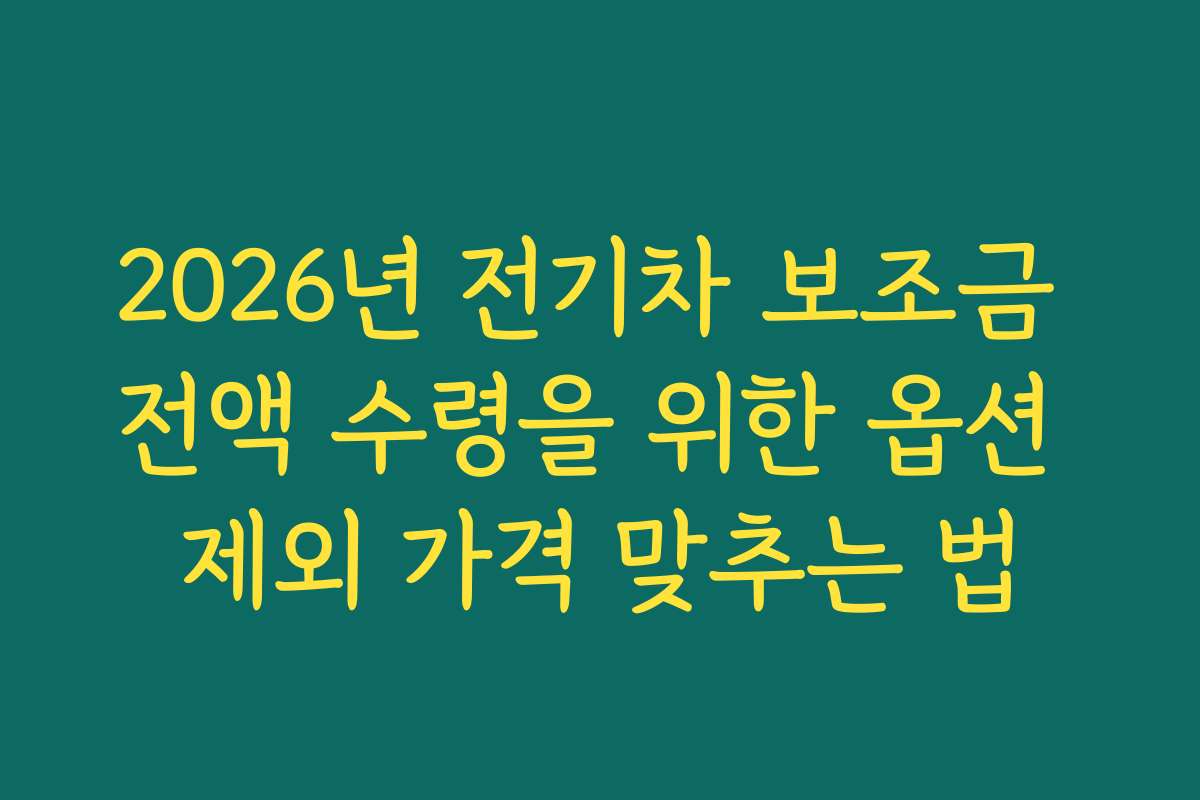 2026년 전기차 보조금 전액 수령을 위한 옵션 제외 가격 맞추는 법