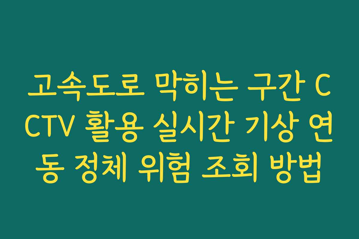 고속도로 막히는 구간 CCTV 활용 실시간 기상 연동 정체 위험 조회 방법