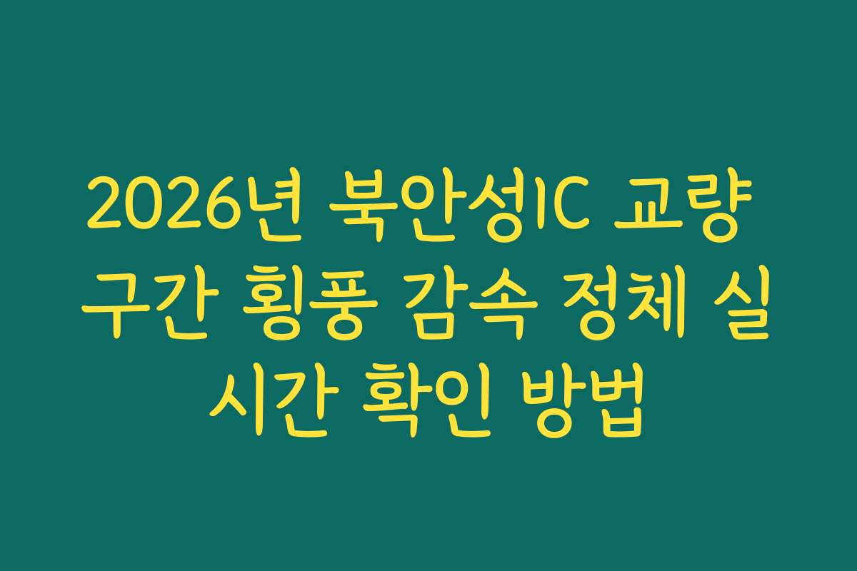 2026년 북안성IC 교량 구간 횡풍 감속 정체 실시간 확인 방법