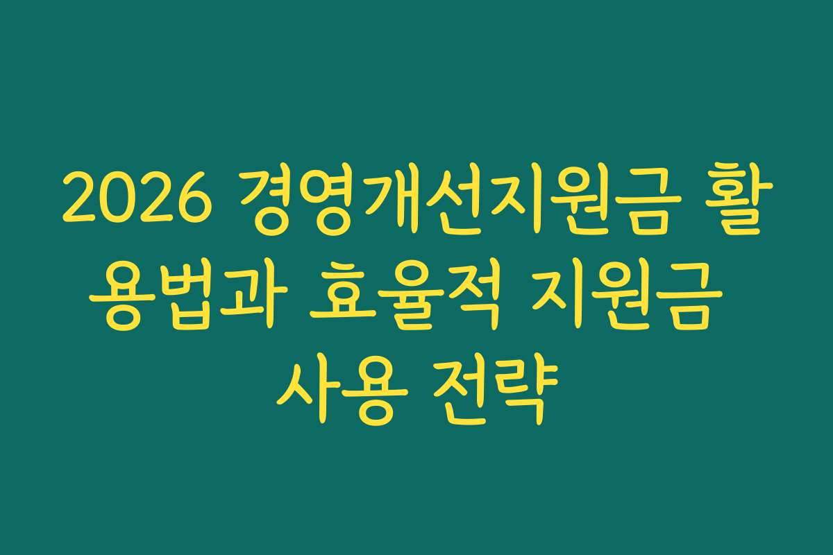 2026 경영개선지원금 활용법과 효율적 지원금 사용 전략