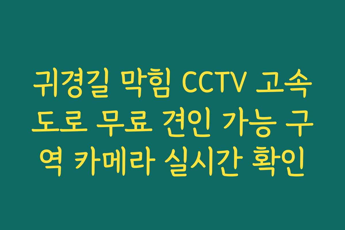 귀경길 막힘 CCTV 고속도로 무료 견인 가능 구역 카메라 실시간 확인