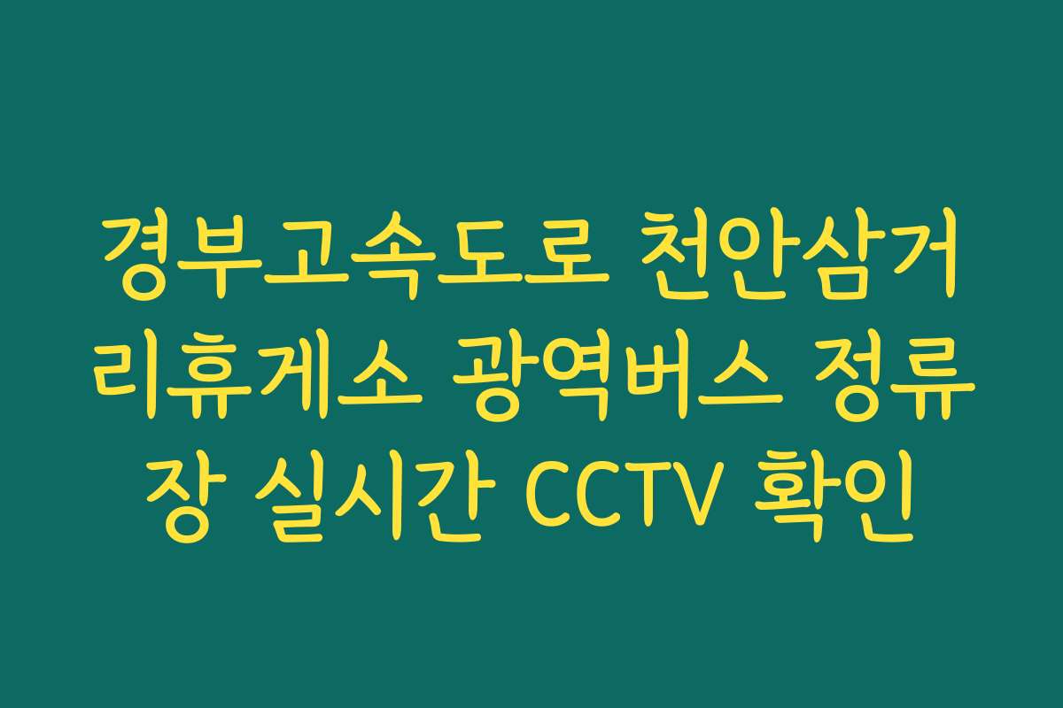 경부고속도로 천안삼거리휴게소 광역버스 정류장 실시간 CCTV 확인