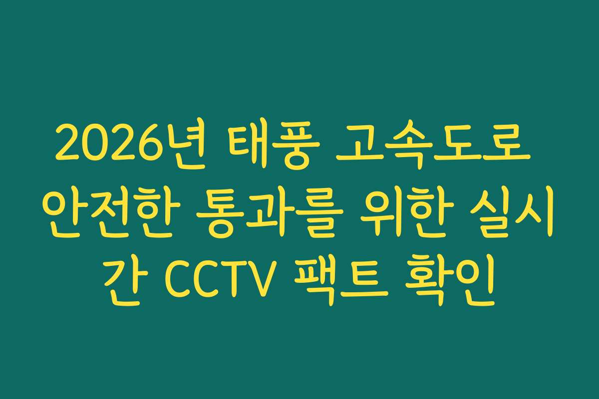 2026년 태풍 고속도로 안전한 통과를 위한 실시간 CCTV 팩트 확인