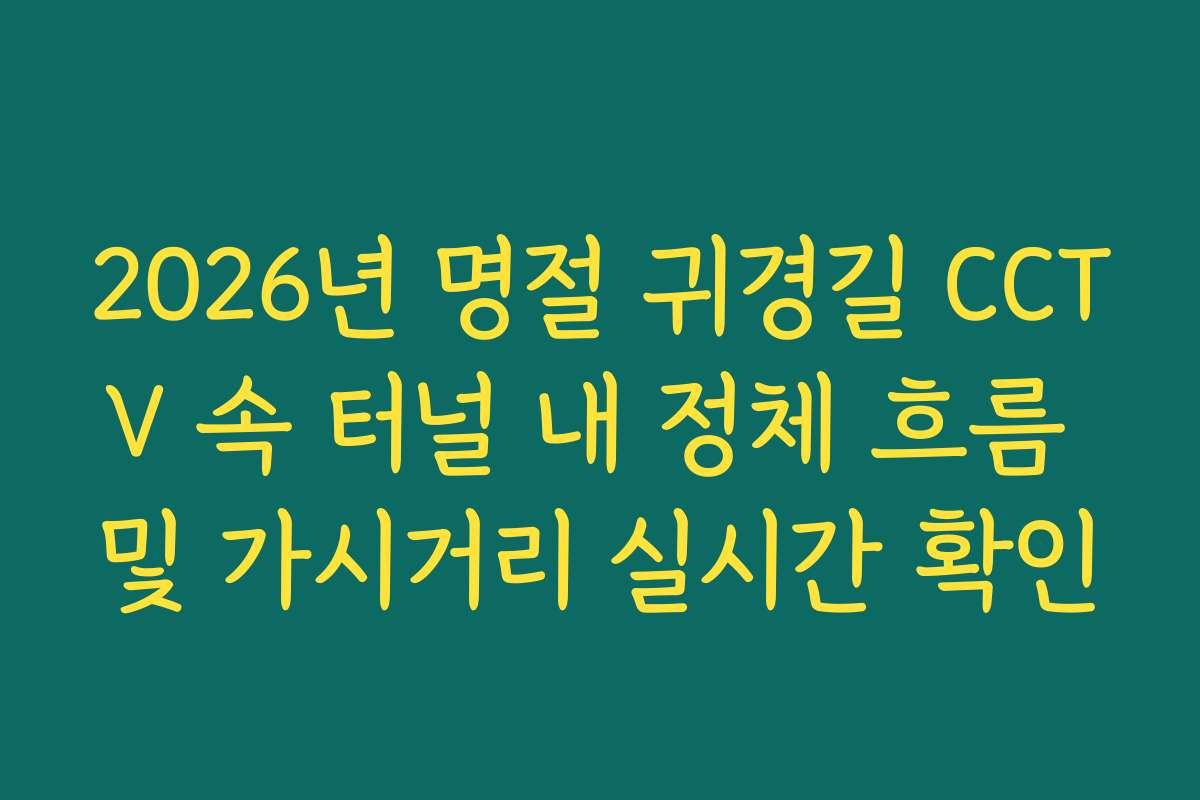 2026년 명절 귀경길 CCTV 속 터널 내 정체 흐름 및 가시거리 실시간 확인