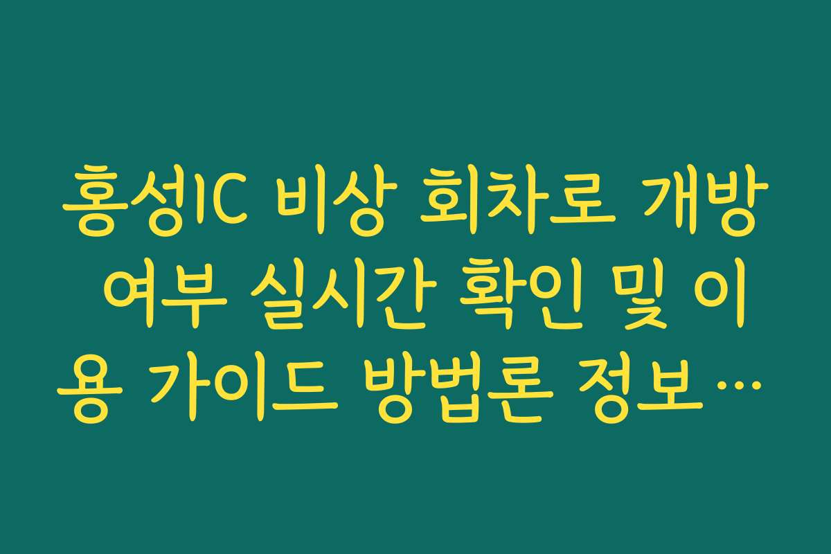 홍성IC 비상 회차로 개방 여부 실시간 확인 및 이용 가이드 방법론 정보 가이드
