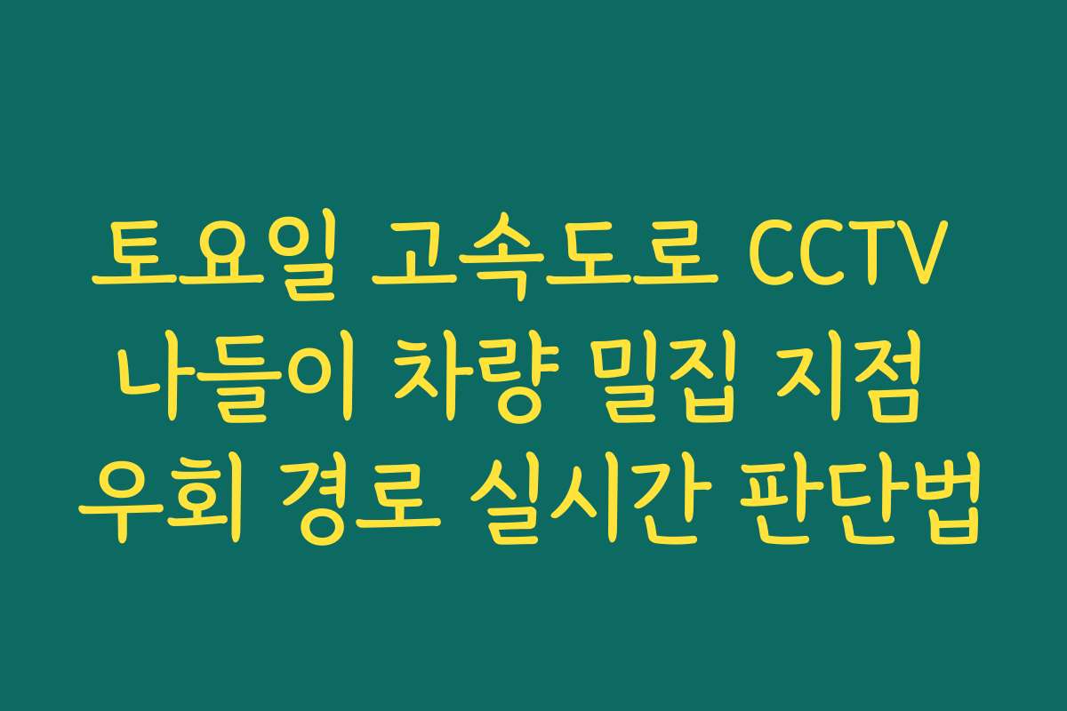 토요일 고속도로 CCTV 나들이 차량 밀집 지점 우회 경로 실시간 판단법