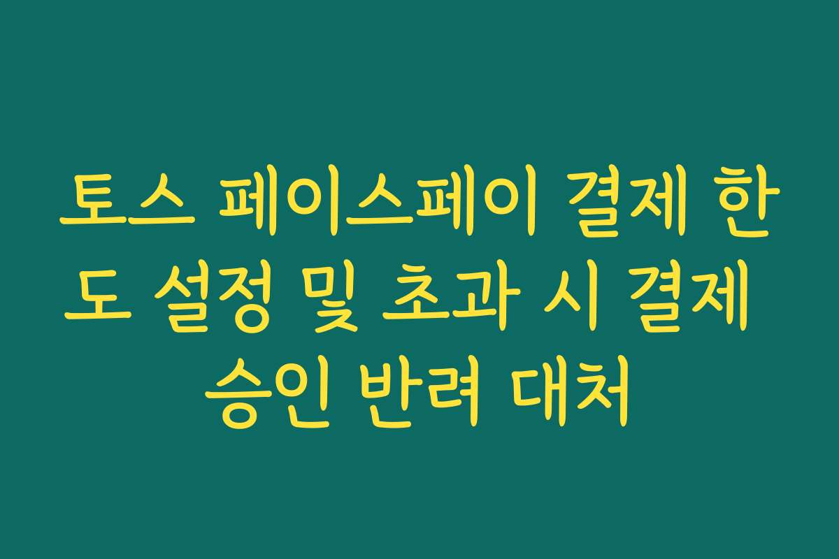 토스 페이스페이 결제 한도 설정 및 초과 시 결제 승인 반려 대처