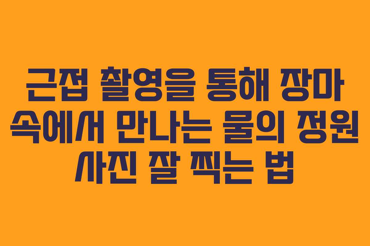 근접 촬영을 통해 장마 속에서 만나는 물의 정원 사진 잘 찍는 법